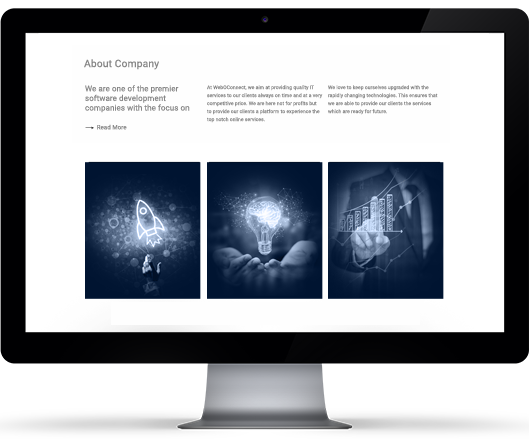 custom ecommerce development